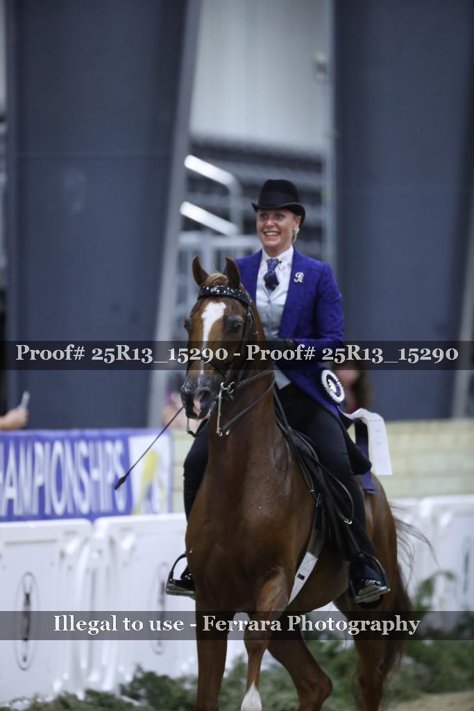 Proof 25R13_15290