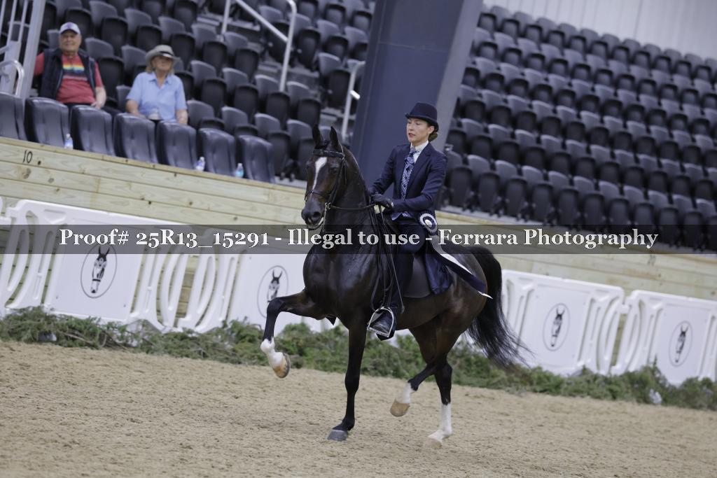 Proof 25R13_15291