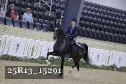 25R13_15291 proof