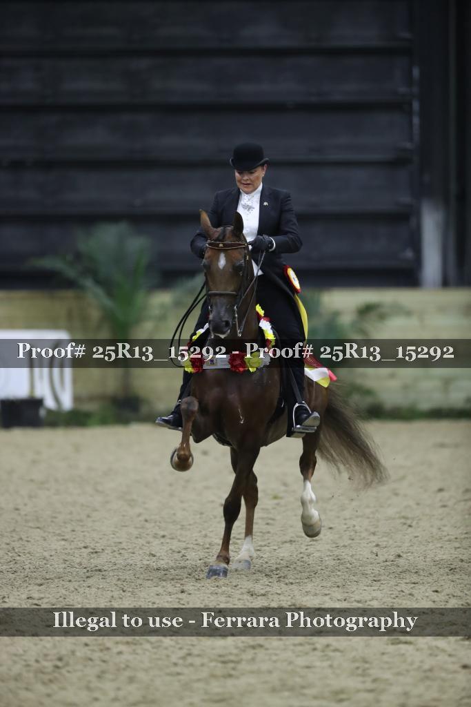 Proof 25R13_15292