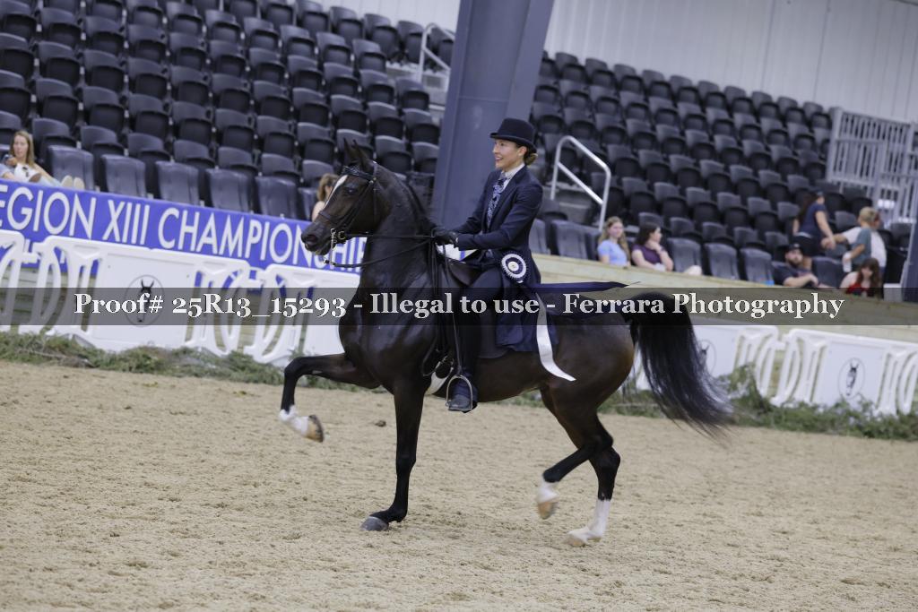 Proof 25R13_15293