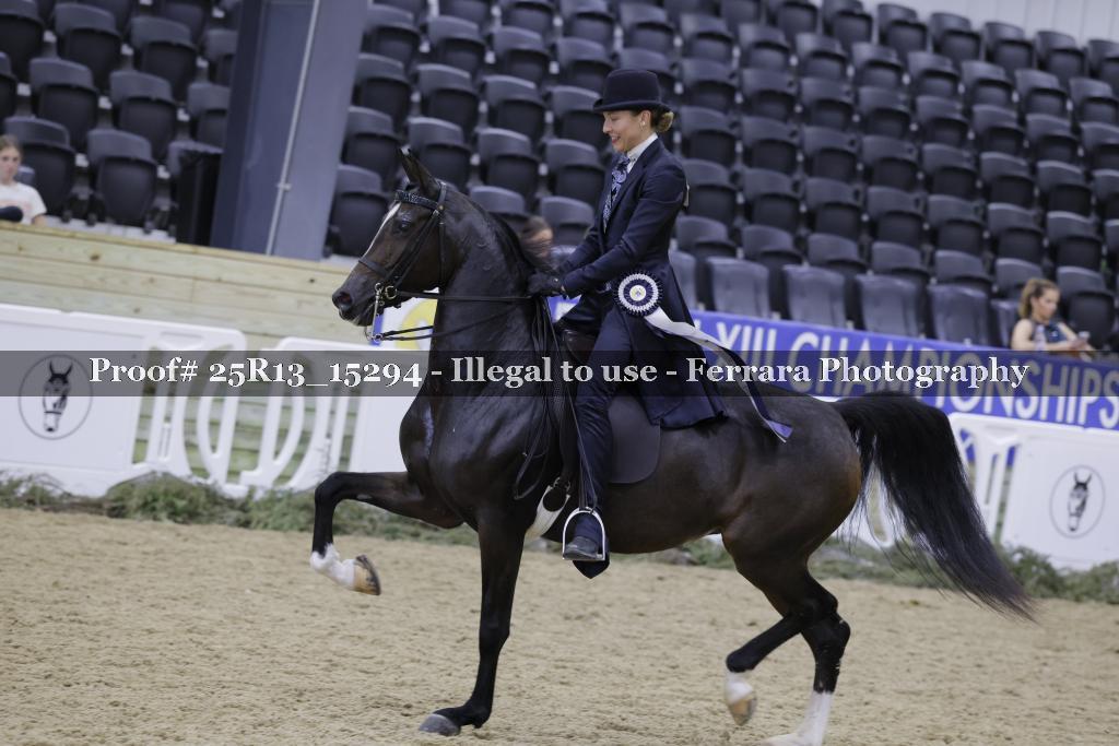 Proof 25R13_15294