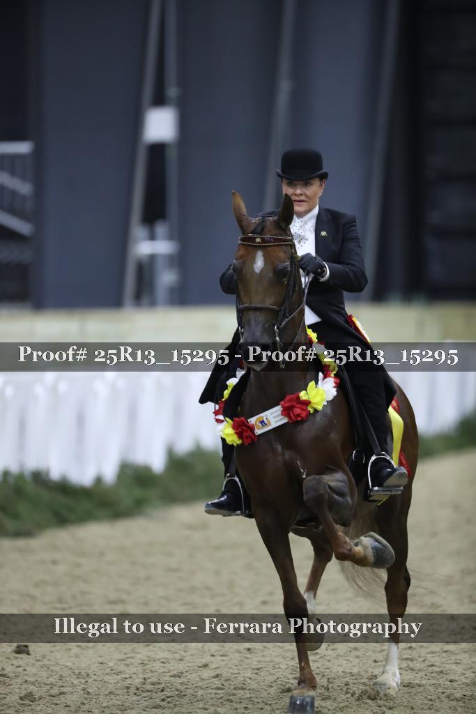 Proof 25R13_15295