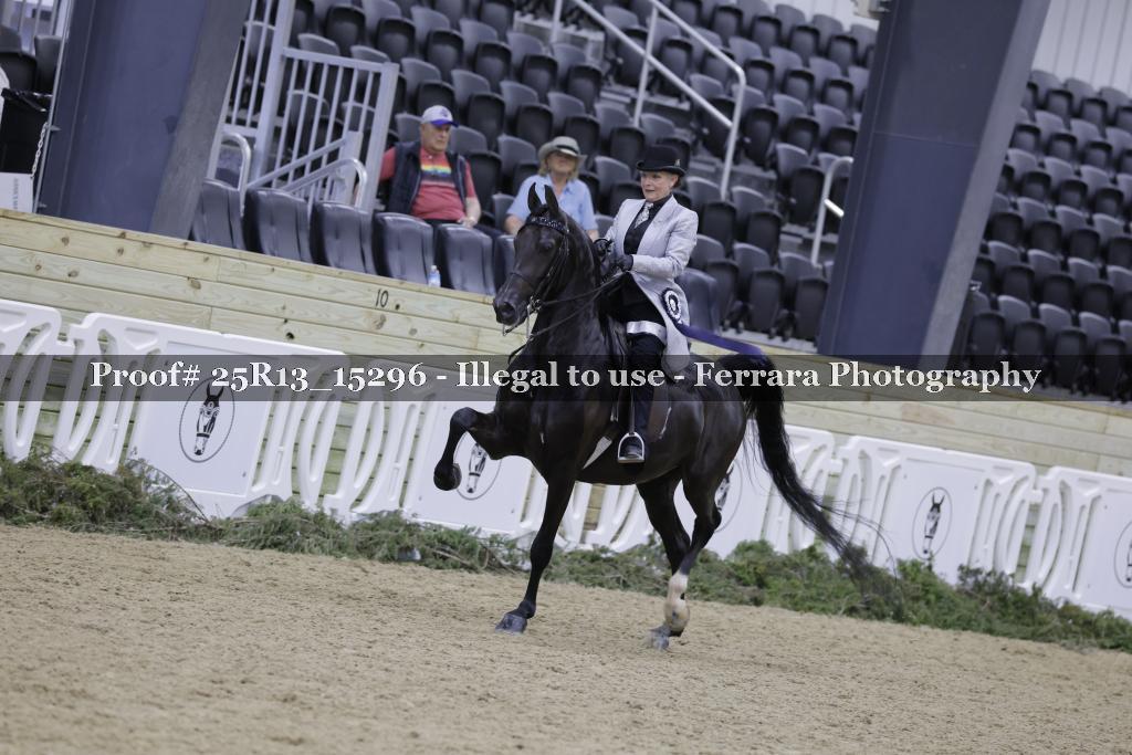 Proof 25R13_15296