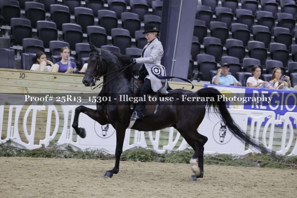 Proof 25R13_15301