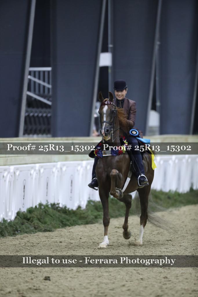 Proof 25R13_15302