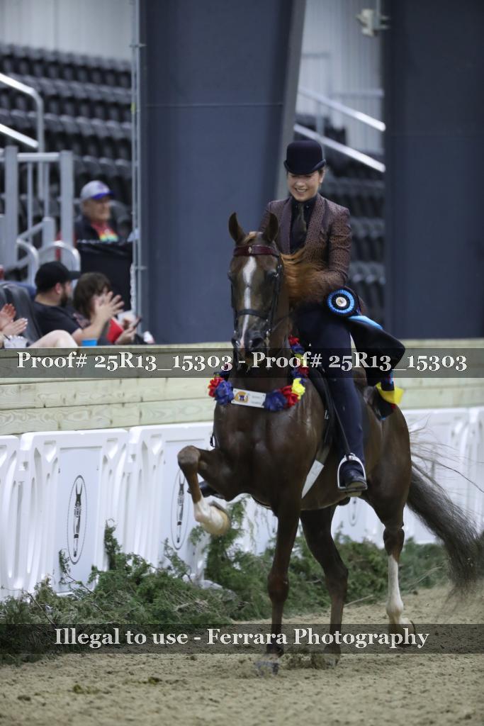 Proof 25R13_15303