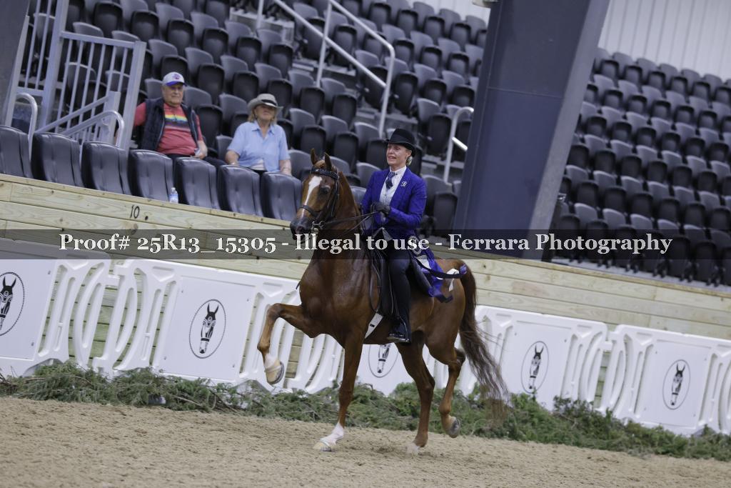 Proof 25R13_15305