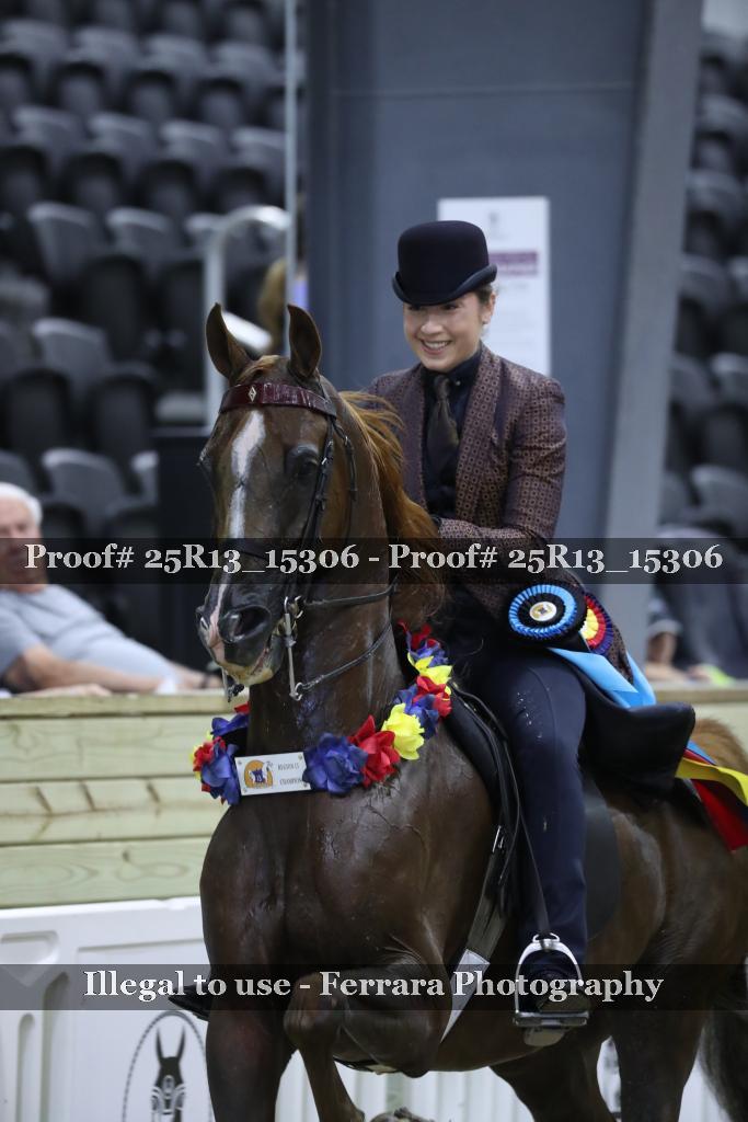 Proof 25R13_15306