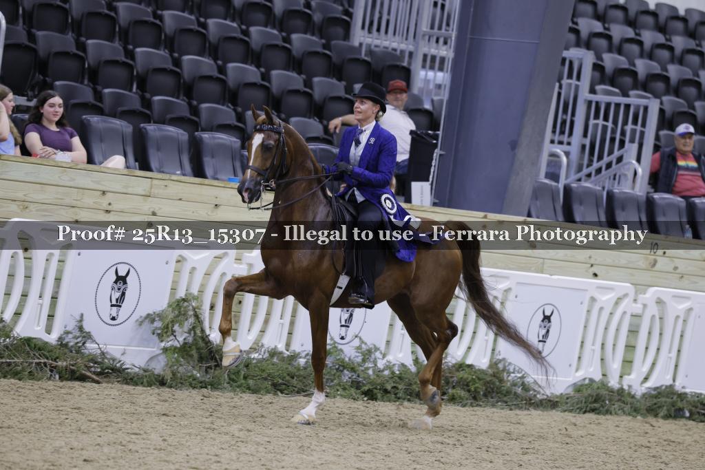 Proof 25R13_15307