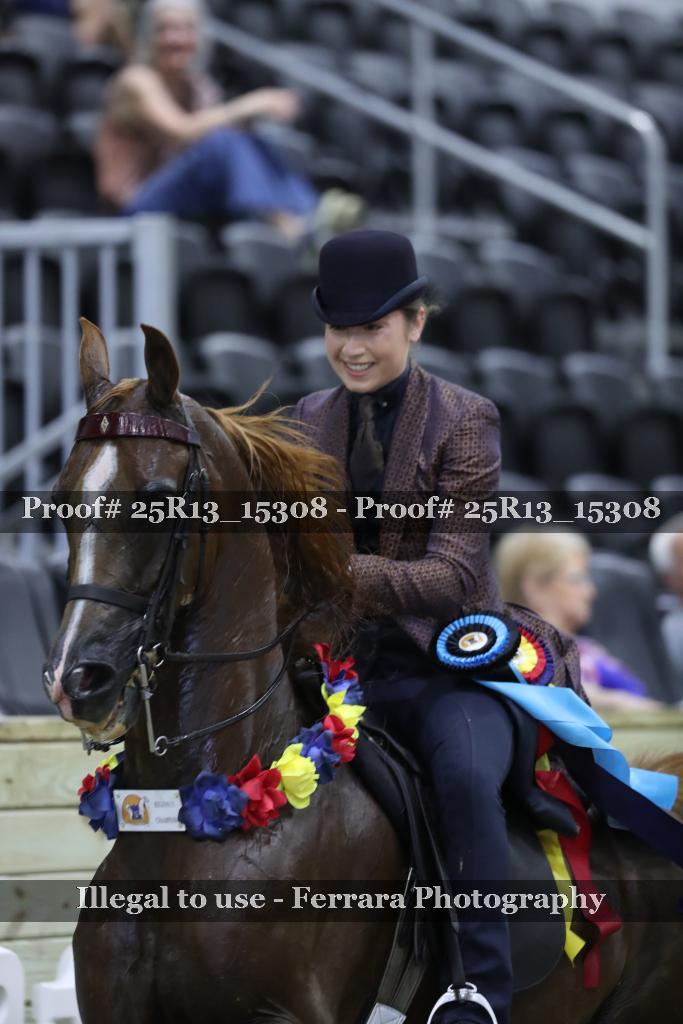 Proof 25R13_15308
