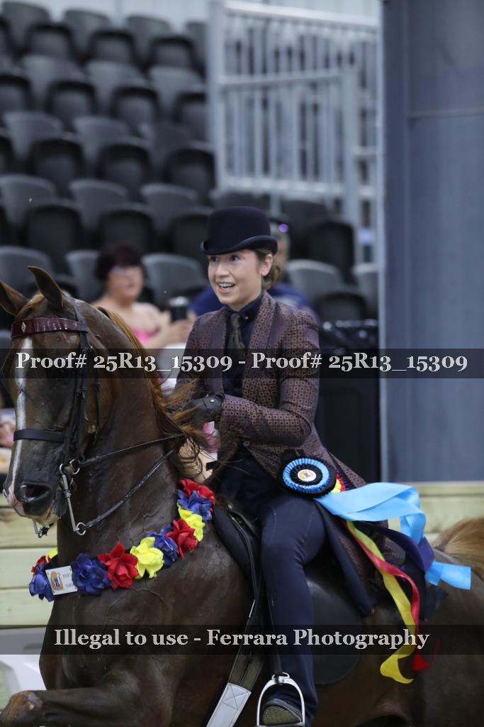 Proof 25R13_15309