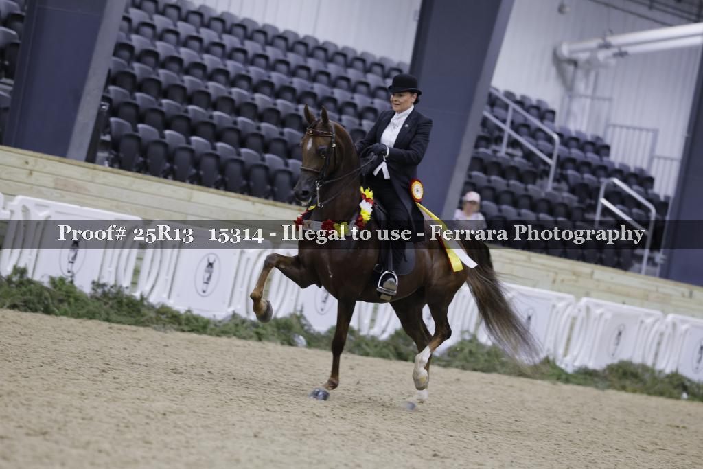 Proof 25R13_15314