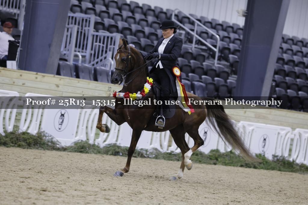 Proof 25R13_15315