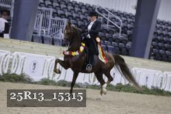 25R13_15315 proof