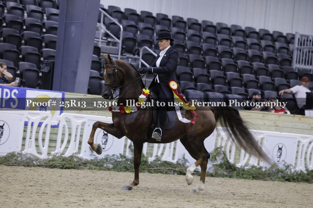 Proof 25R13_15316