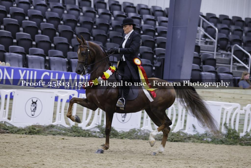 Proof 25R13_15317