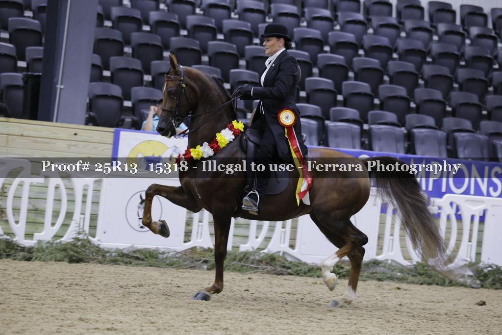 Proof 25R13_15318