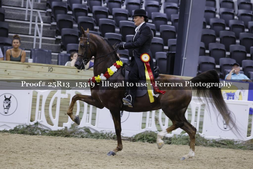 Proof 25R13_15319
