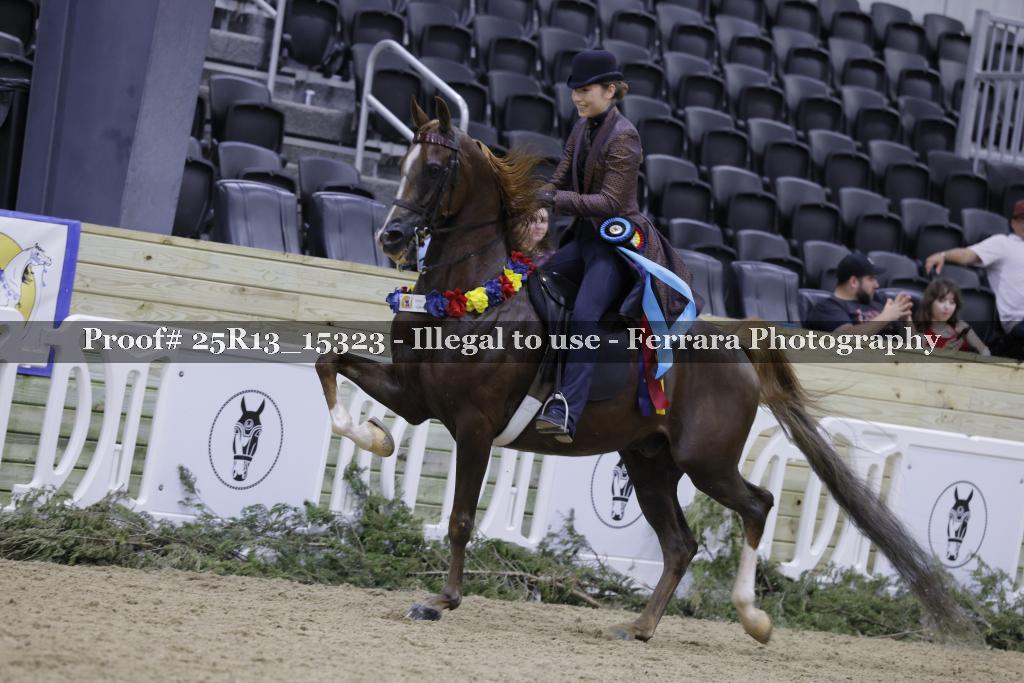 Proof 25R13_15323
