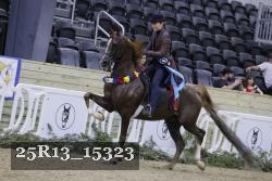 25R13_15323 proof