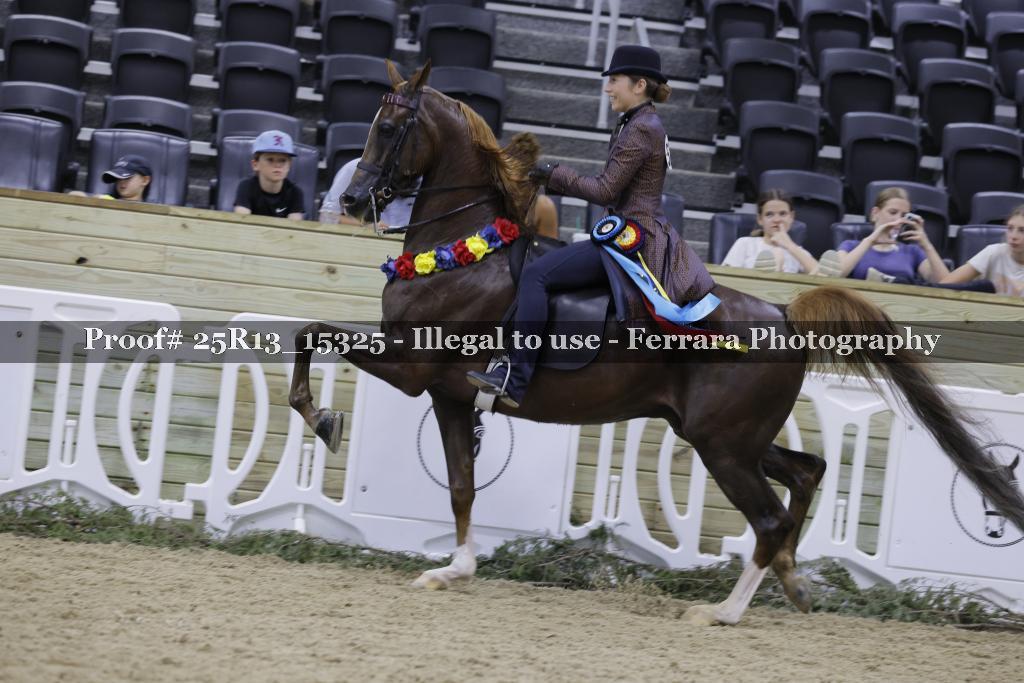 Proof 25R13_15325