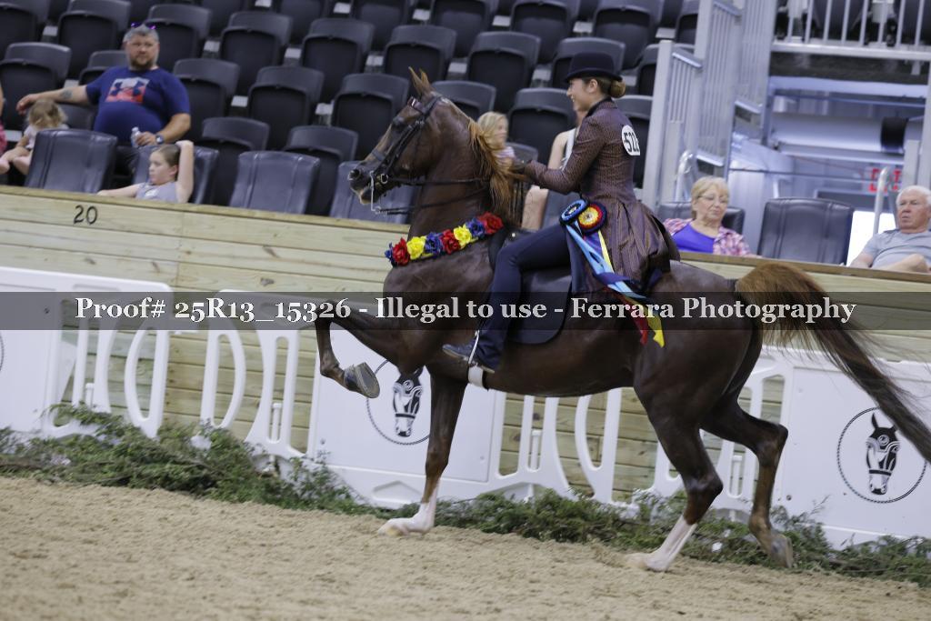 Proof 25R13_15326