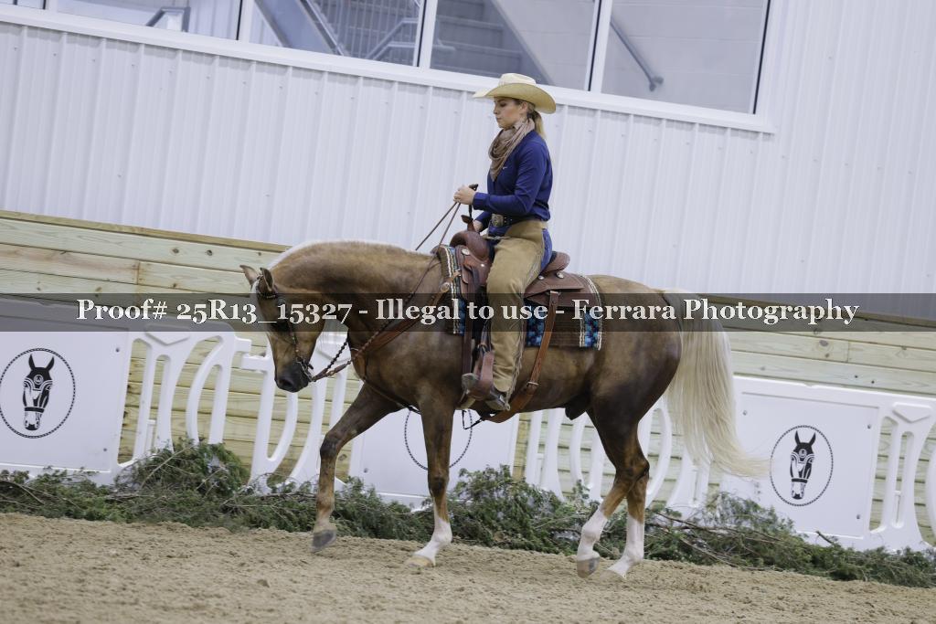 Proof 25R13_15327