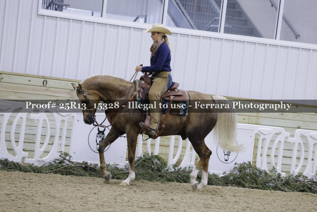 Proof 25R13_15328