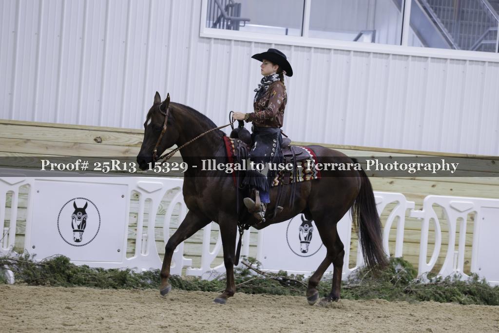 Proof 25R13_15329