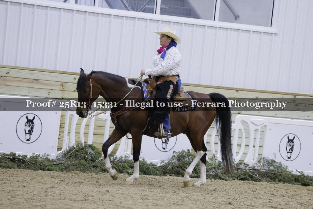 Proof 25R13_15331