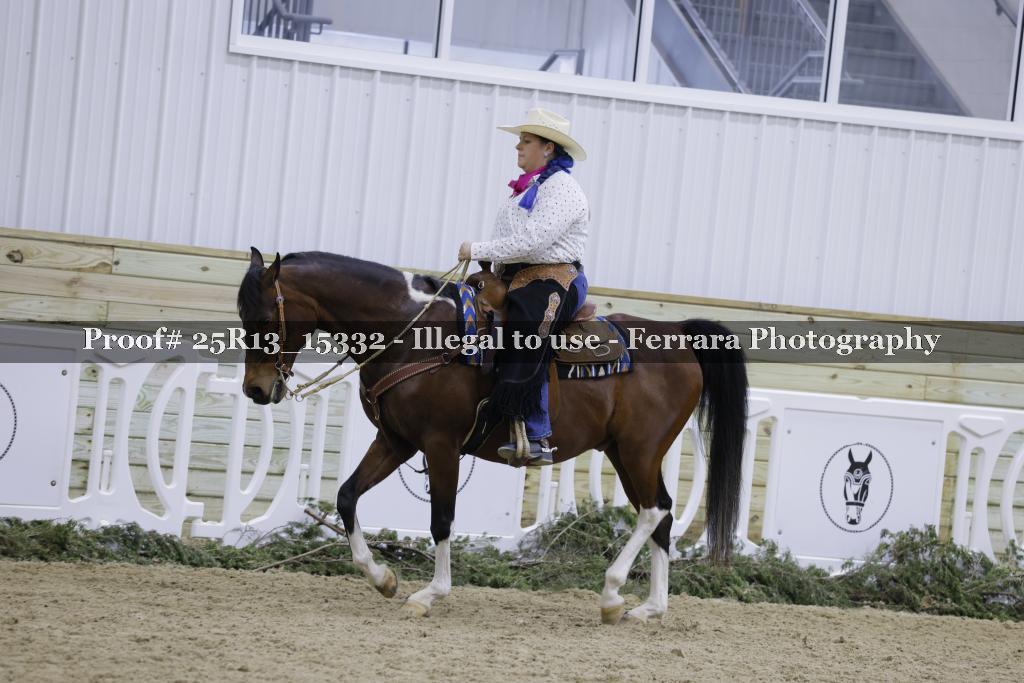 Proof 25R13_15332