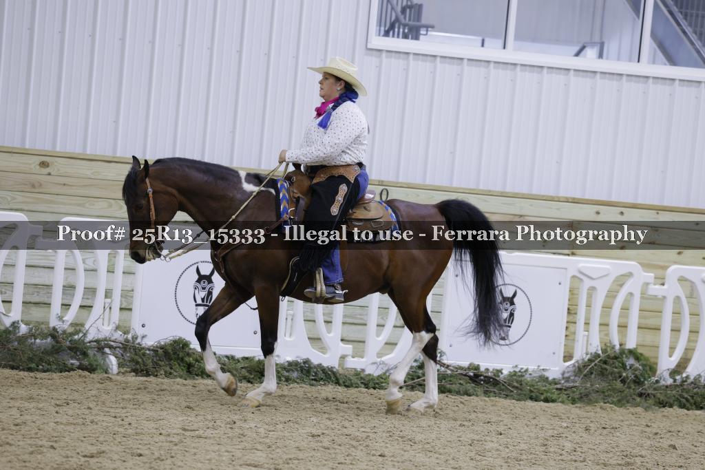 Proof 25R13_15333
