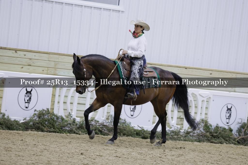 Proof 25R13_15334