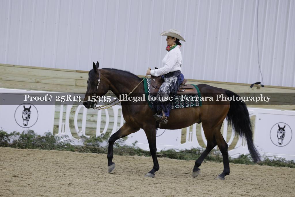 Proof 25R13_15335