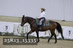 25R13_15335 proof