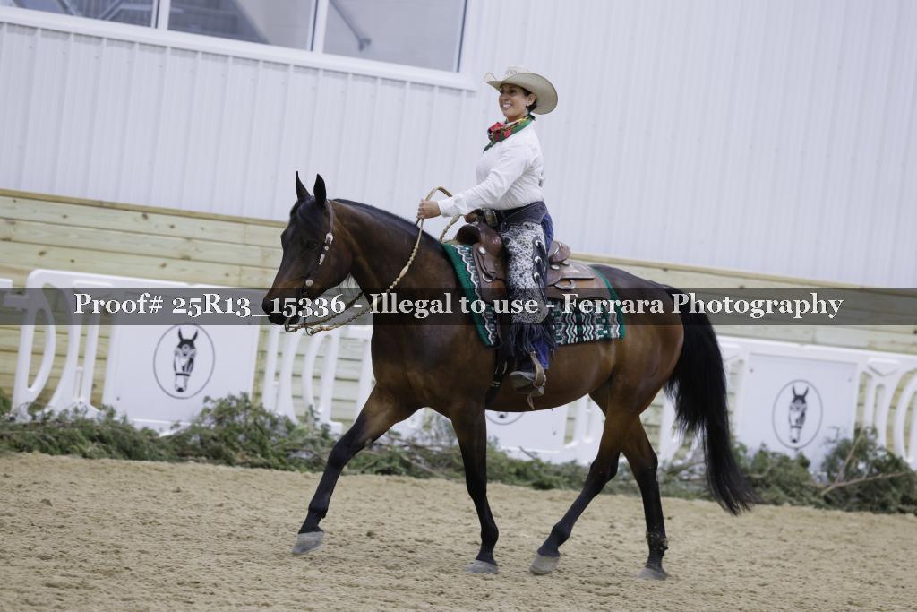 Proof 25R13_15336