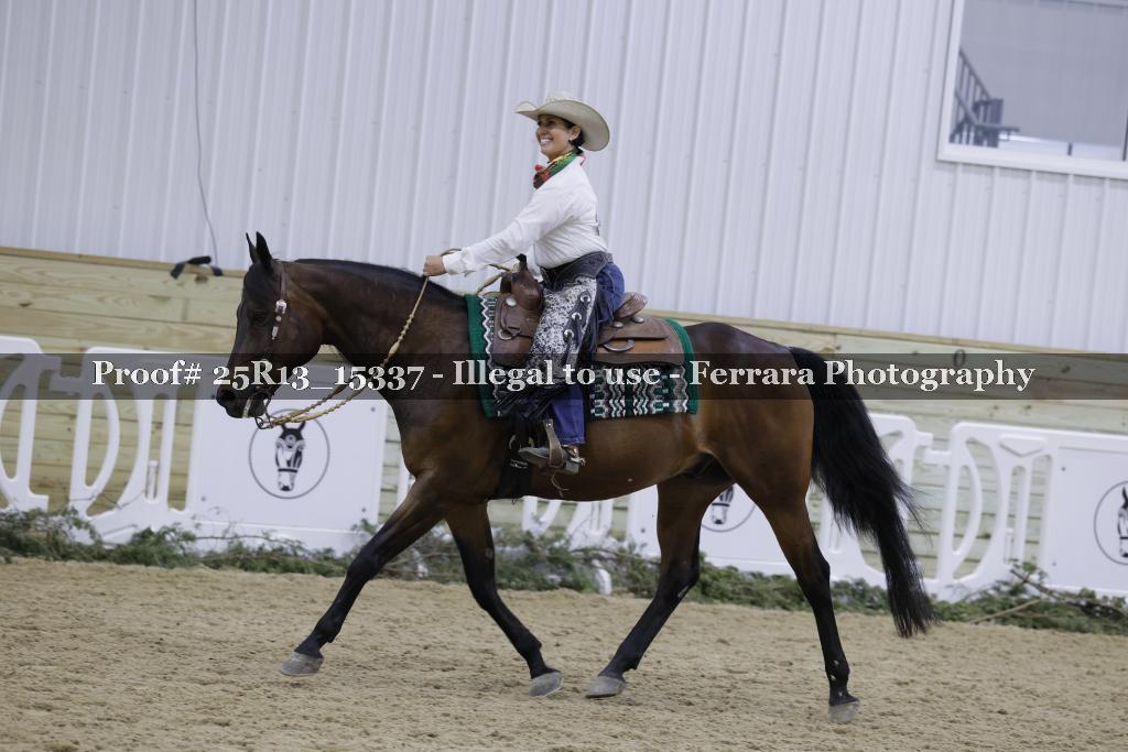 Proof 25R13_15337