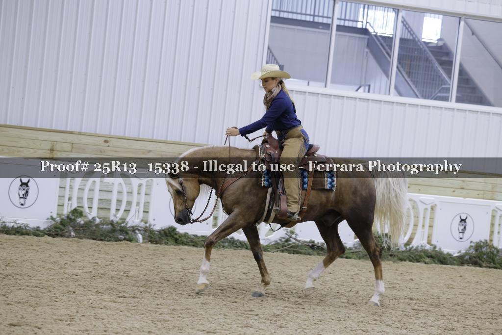 Proof 25R13_15338