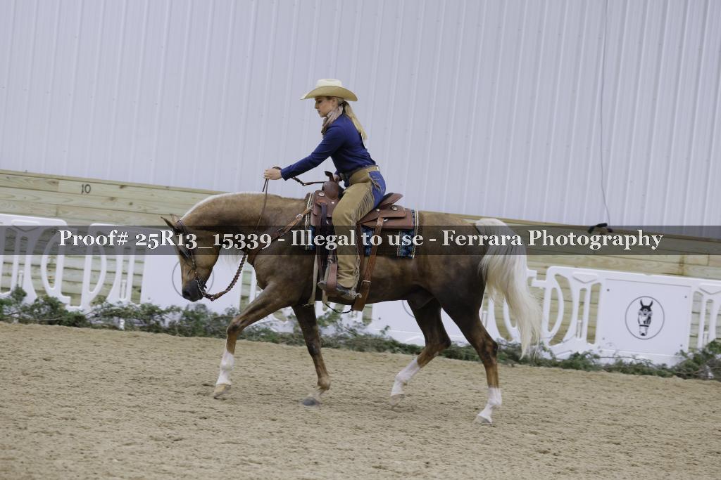 Proof 25R13_15339