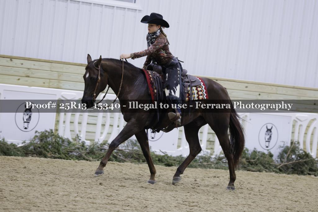 Proof 25R13_15340