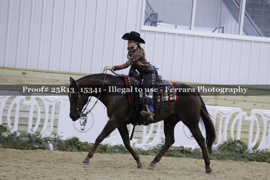 Proof 25R13_15341