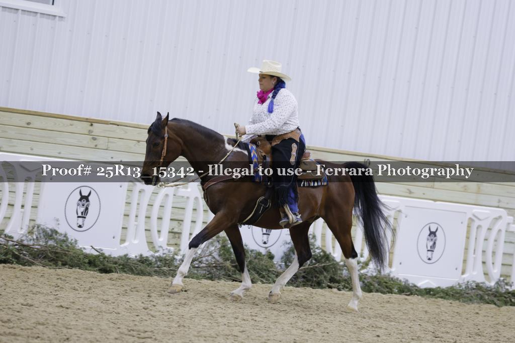 Proof 25R13_15342