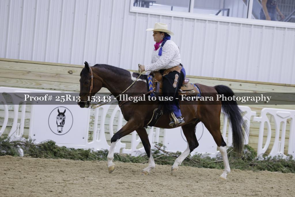 Proof 25R13_15343