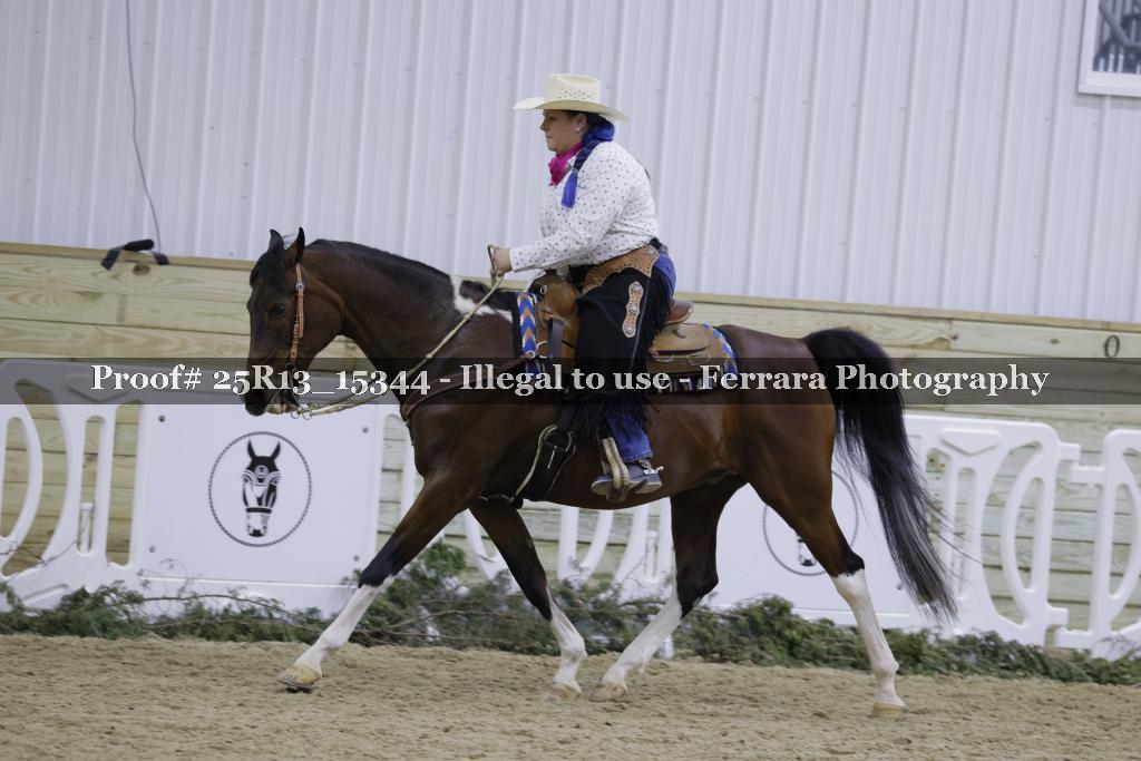 Proof 25R13_15344