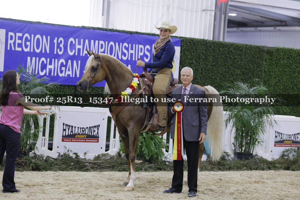 Proof 25R13_15347