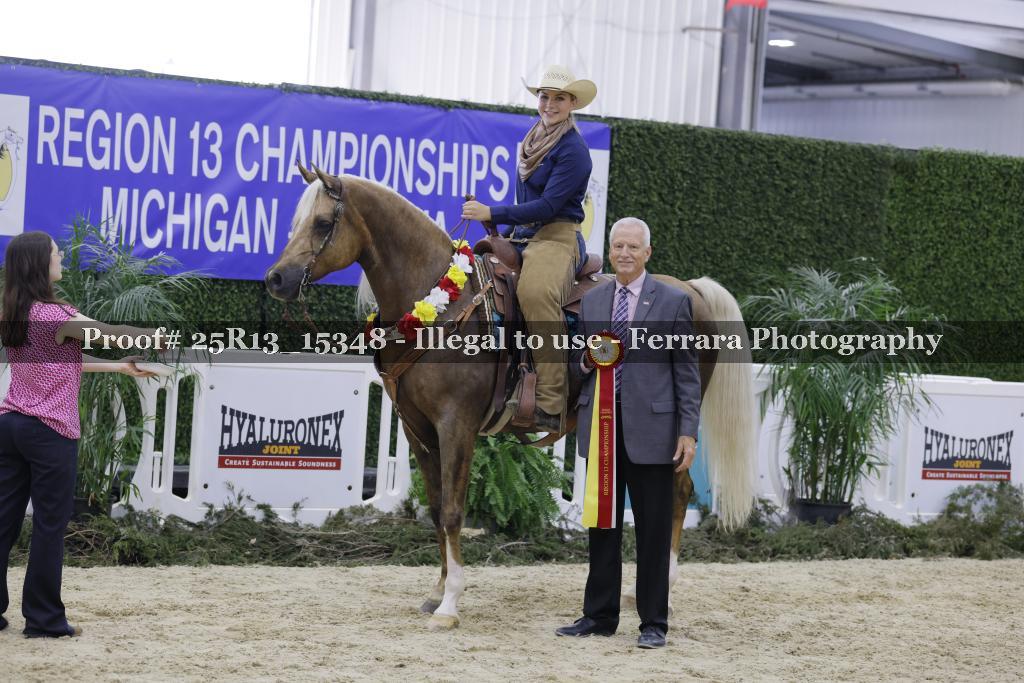 Proof 25R13_15348