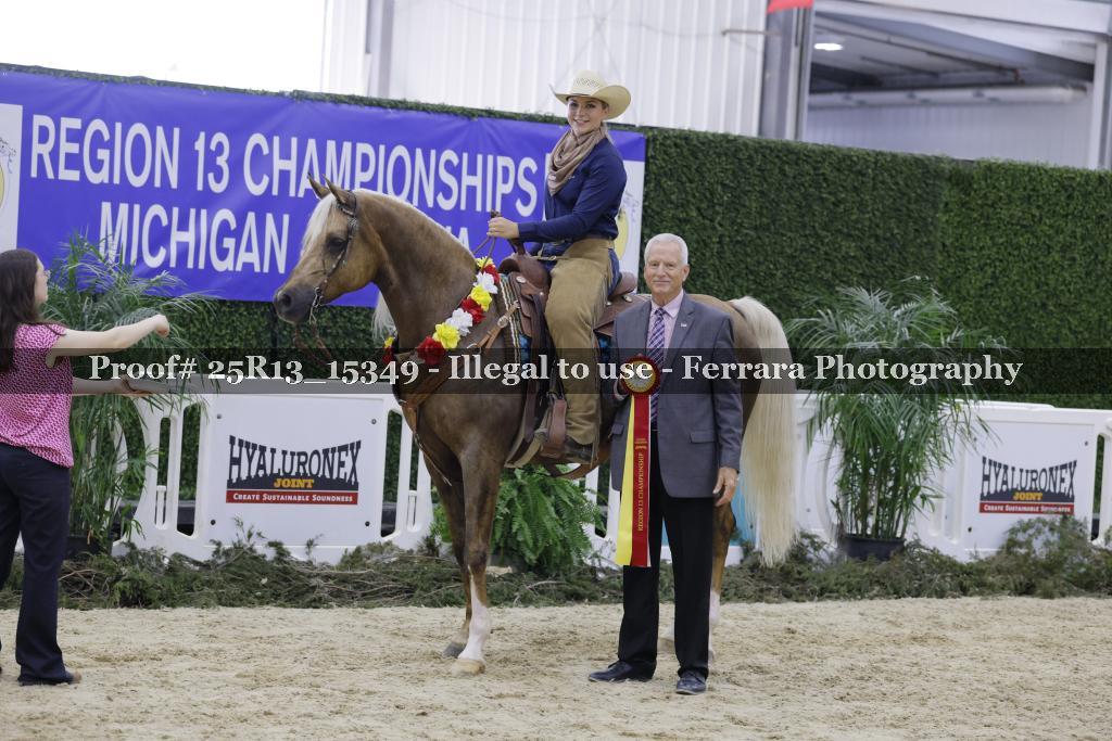 Proof 25R13_15349
