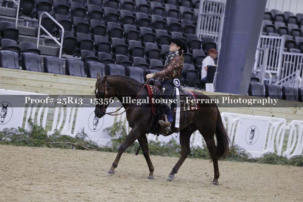 Proof 25R13_15356
