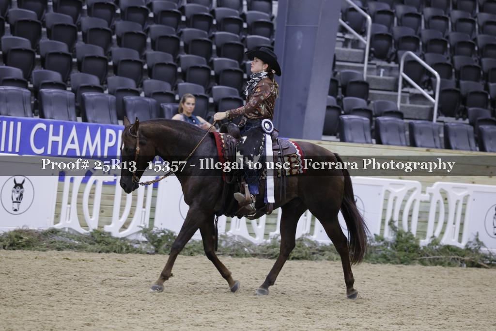 Proof 25R13_15357